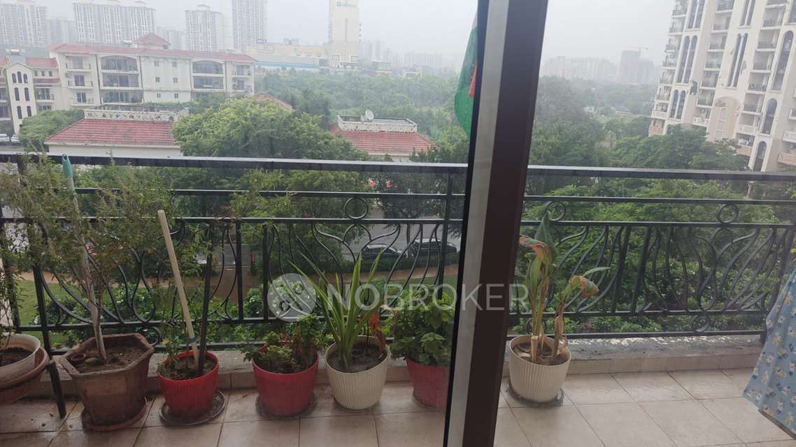 3 BHK Flat In Dlf New Town Heights , Sector 86 For Sale  In Dlf New Town Heights