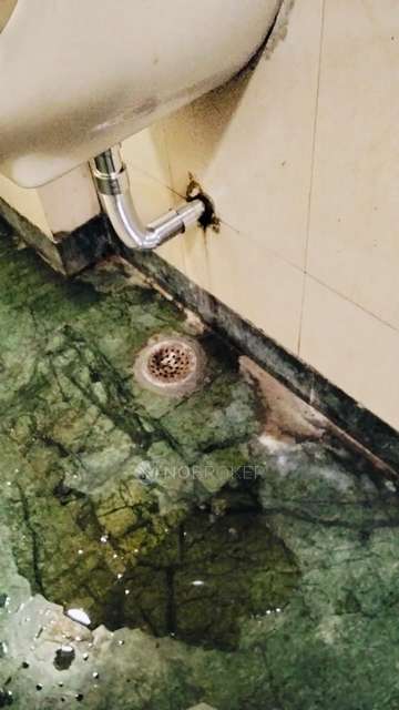 3 BHK House For Sale  In Wazirabad