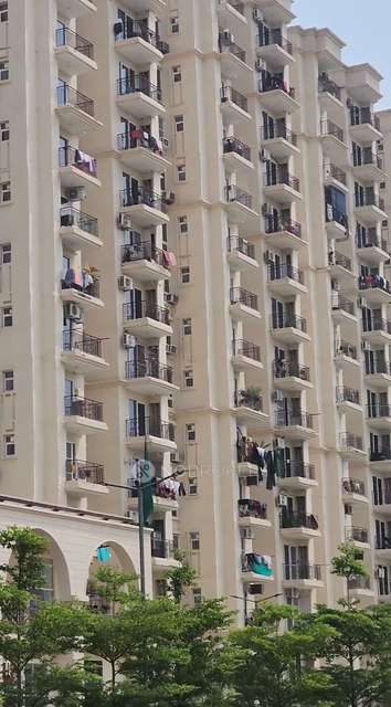 2 BHK Flat In Signature Global City 37d For Sale  In Sector 37d