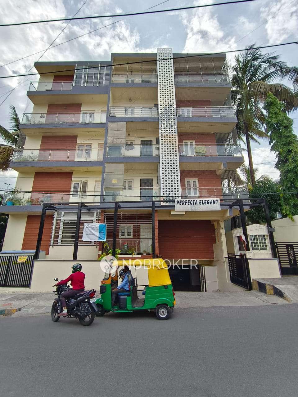 Fateh Perfecta Elegent