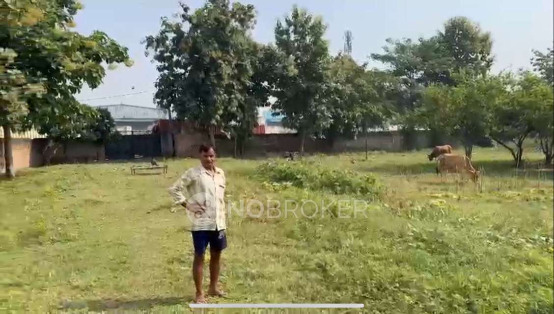 Plot For Sale  In Surajpur Site V