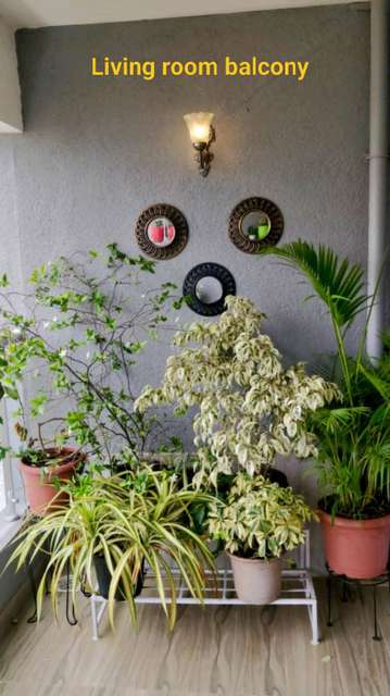 2 BHK Flat In Oxford Florida Riverwalk for Rent  In A- 901 Flor Haveli, Mundhwa, Pune, Maharashtra 411036, India