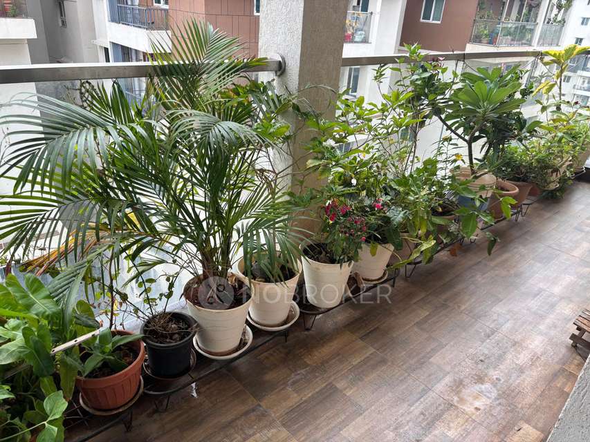 3 BHK Flat In Honer Vivantis For Sale  In Honer Vivantis