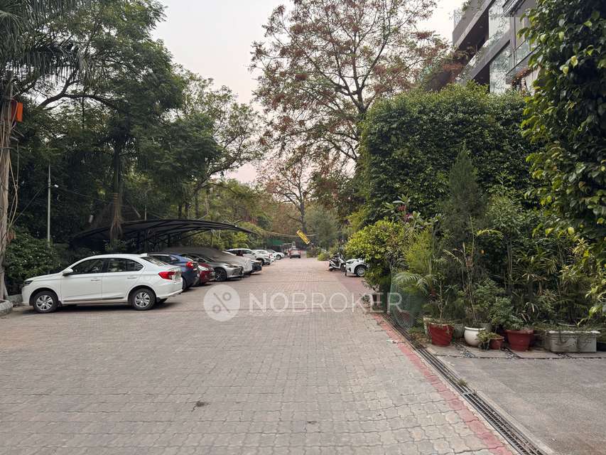 PG for Anyone in New Rajinder Nagar