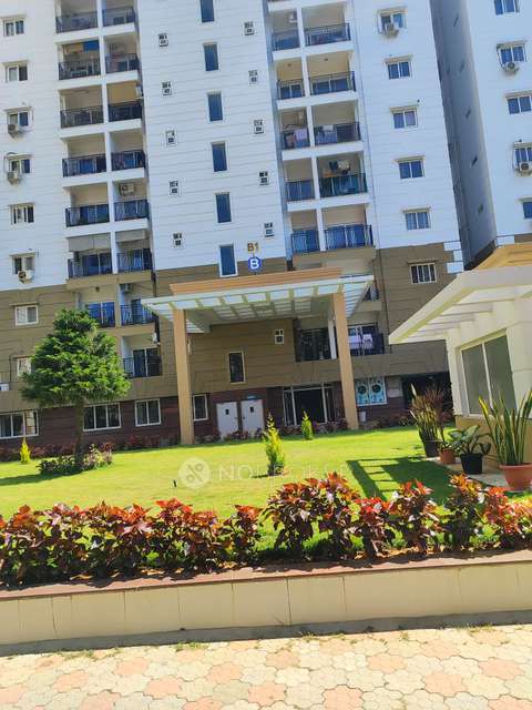 3 BHK Flat In Rns Shanthi Nivas for Rent  In Yeswanthpur