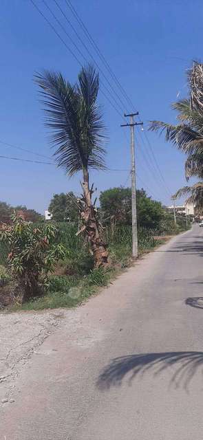 Godown/Warehouse in Pimpri-chinchwad,, Pune for Rent 