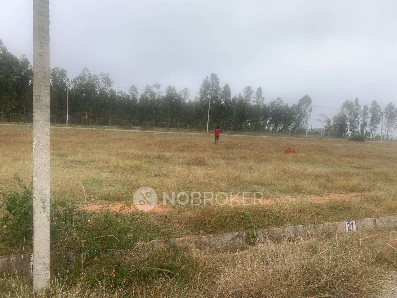 Plot For Sale  In Anekal