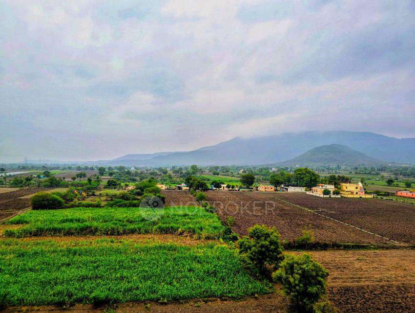 2 BHK Flat In Shree Siddhivinayak Park For Sale  In Wadki