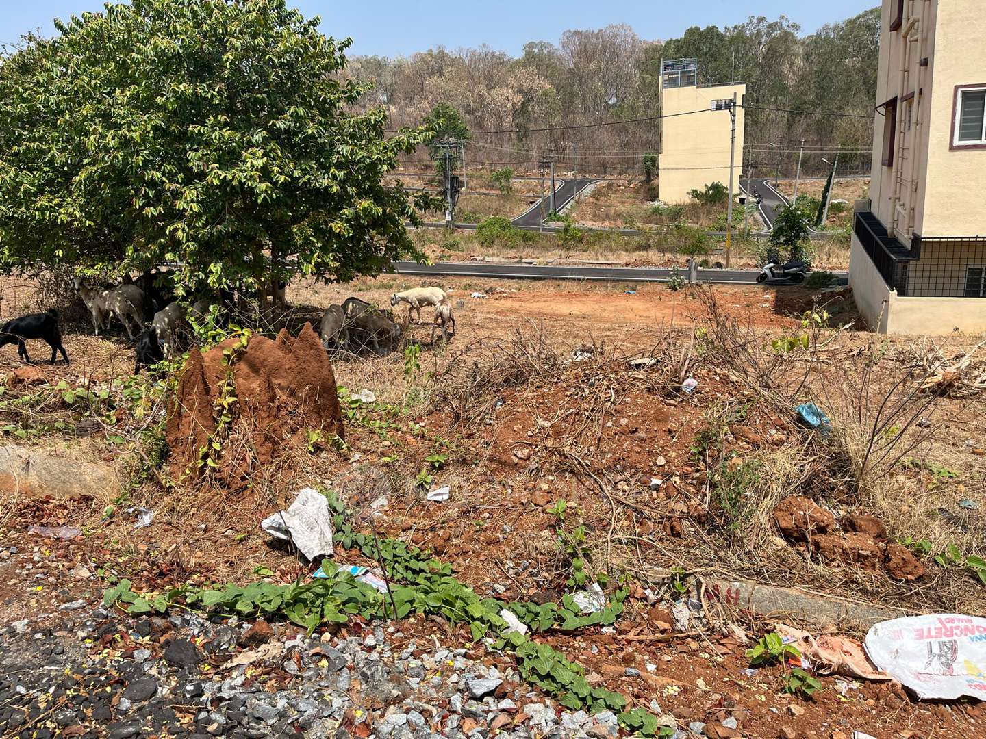 Plot For Sale  In Subramanyapura