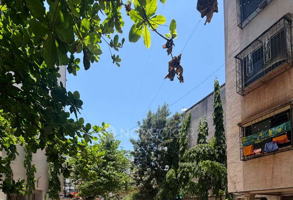 1 BHK Flat In Sai Pritam Nagari for Rent  In Rahatani