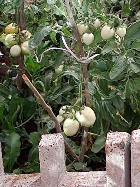 2 BHK Flat In Olympeo Riverside   For Sale  In Neral