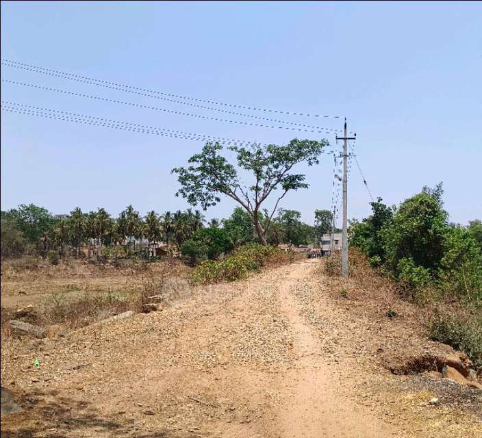 Plot For Sale  In Timmappana Palya