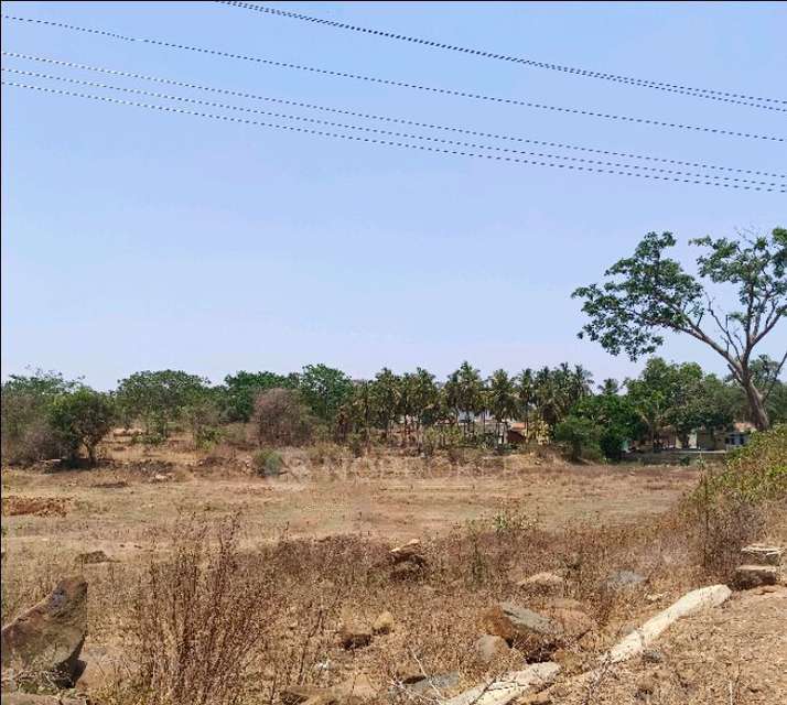 Plot For Sale  In Timmappana Palya