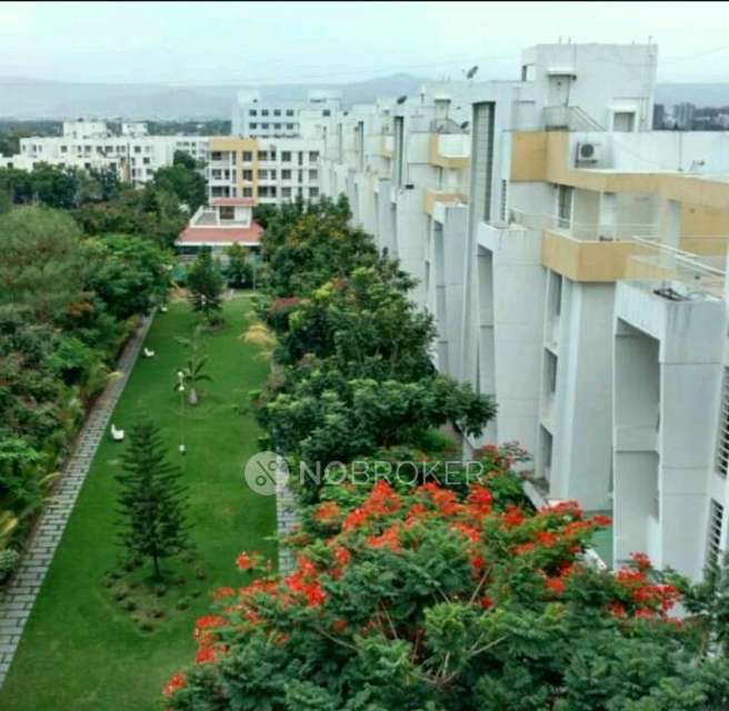 3 BHK Flat In Tranquility Phase I for Rent In Tranquility Phase 1 Block-b5