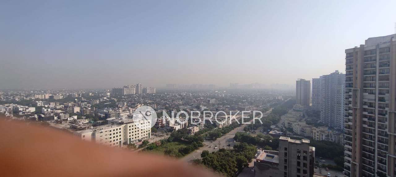 1 BHK Flat In Rg Residency, Sector-120 for Rent  In Sector-120