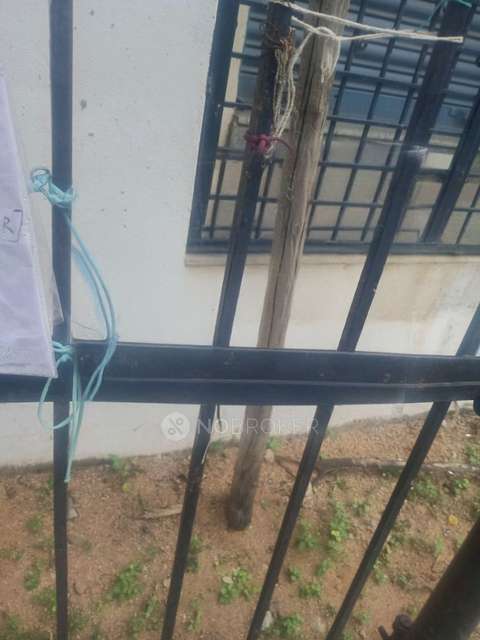 1 BHK Flat In Standalone Building  for Rent  In Amberpet