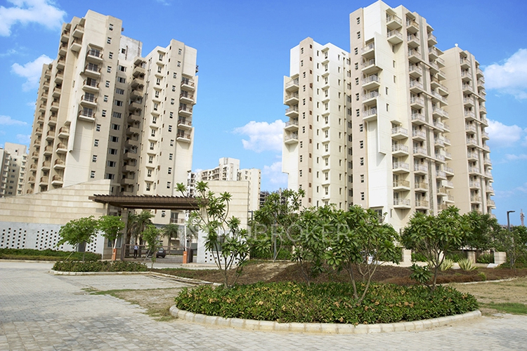 Bptp Park Serene Gurgaon Sector 37D Rent WITHOUT BROKERAGE