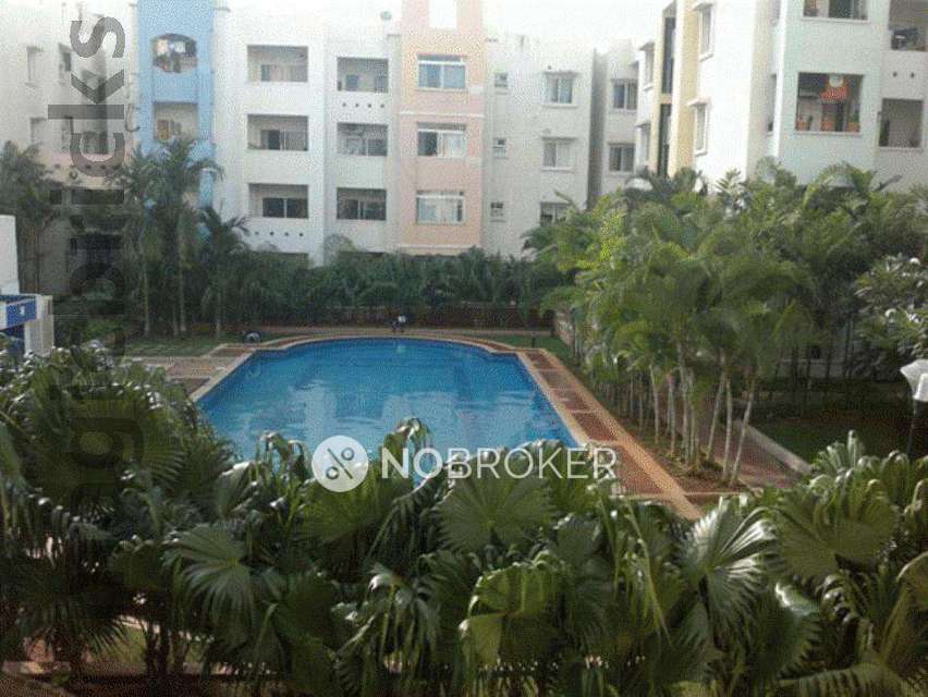 2 BHK Flat In Prestige Palms for Rent  In Whitefield