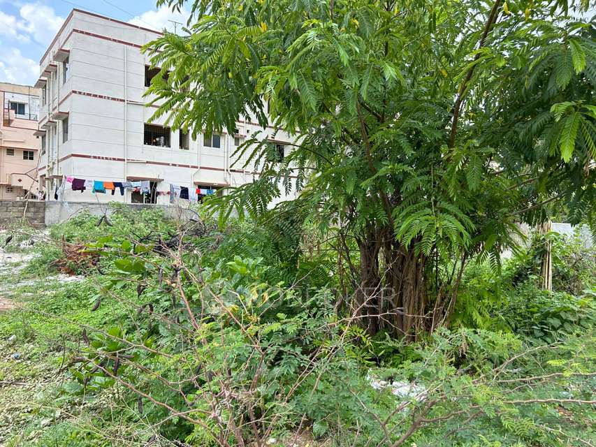 Plot For Sale  In Kyalasanahalli