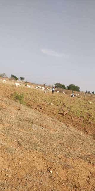 Plot For Sale  In Chikkaballapur