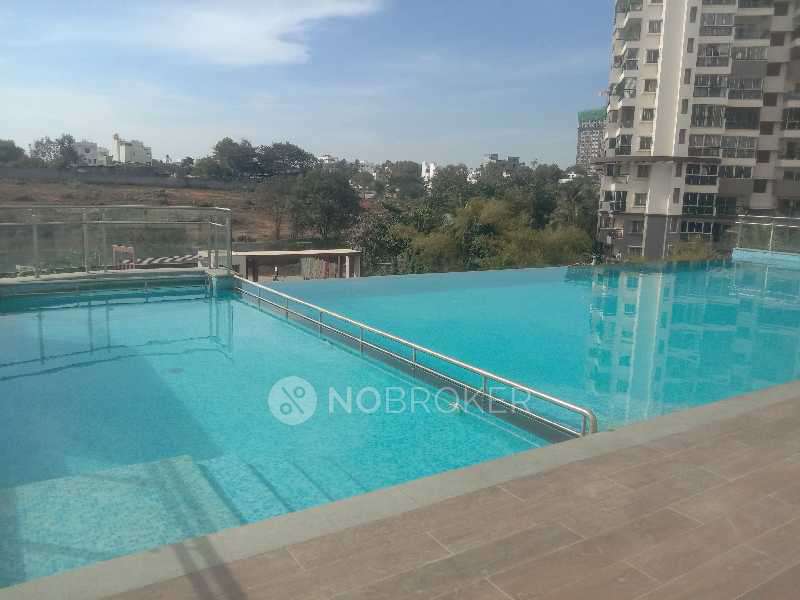 1 BHK Flat In Sattva Misty Charm, Mallasandra Village For Sale  In Mallasandra 