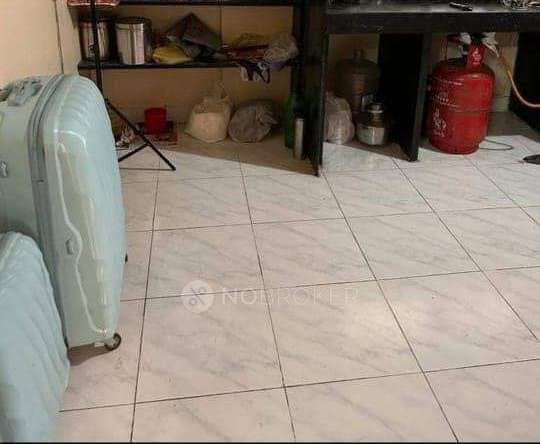 Shared Room for Female In 1 BHK  In Karve Nagar