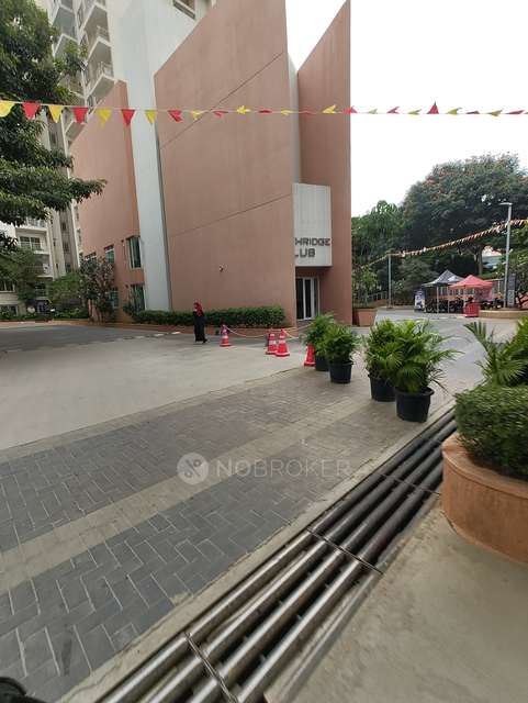 3 BHK Flat In Brigade Northridge For Sale  In Jakkur