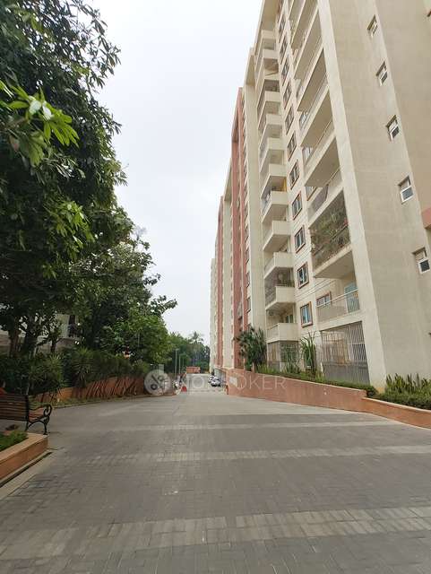 3 BHK Flat In Brigade Northridge For Sale  In Jakkur