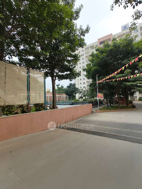 3 BHK Flat In Brigade Northridge For Sale  In Jakkur