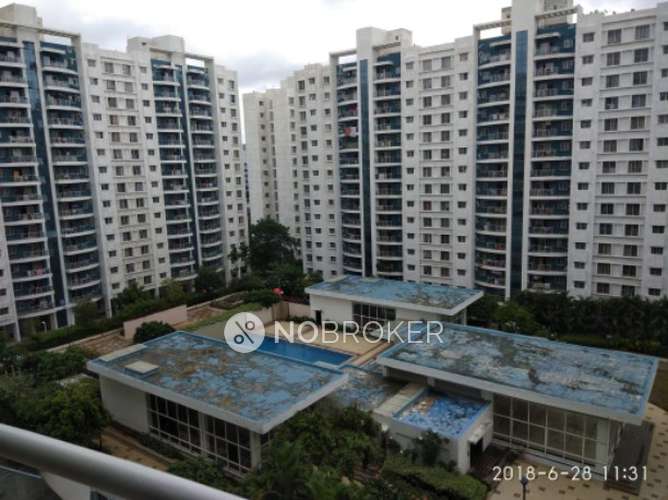 2 BHK Flat In Megapolis Sunway for Rent  In Hinjewadi