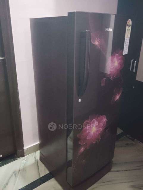 PG for Girls in Sector 20