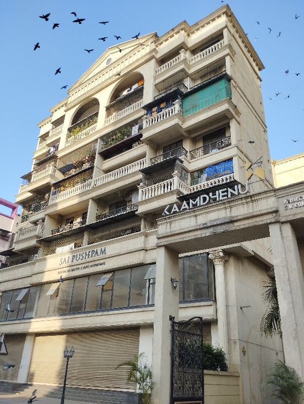 Kaamdhenu Sai Pushpam