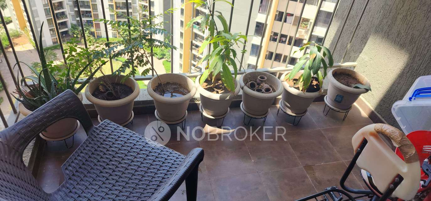 1 BHK Flat In Joyville Hinjewadi Sierra Chs For Sale  In Hinjawadi