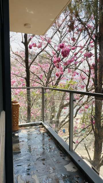 2 BHK Flat In  Classique Woodsville For Sale  In Yelahanka