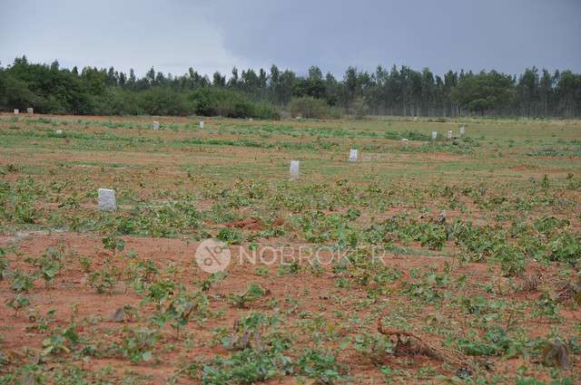 Plot For Sale  In Charmion Celestial Eco Habitats  In Kasaba Hobli