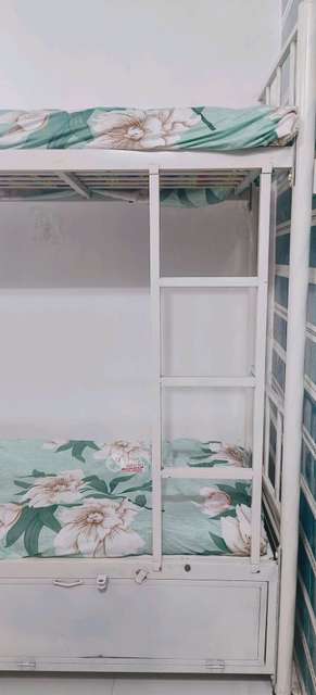 PG for Boys in Bandra West