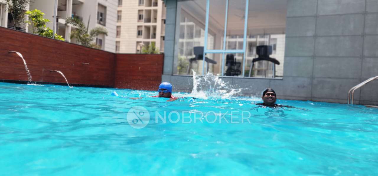 2 BHK Flat In Vtp Purvanchal For Sale  In Wagholi