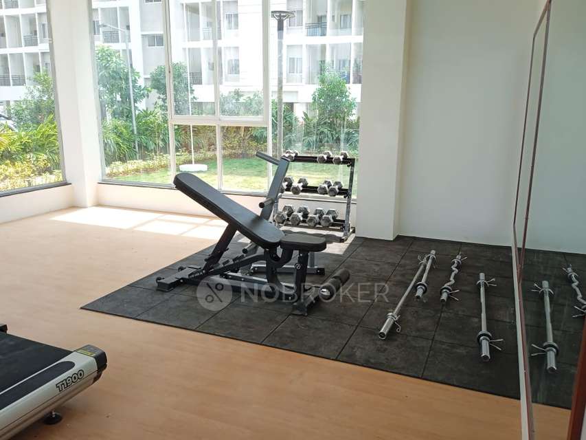 2 BHK Flat In Vtp Purvanchal For Sale  In Wagholi