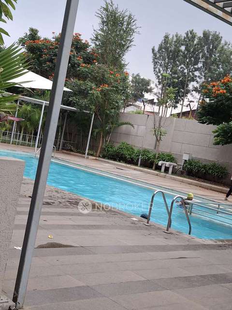 2 BHK Flat In Arvind Skylands For Sale  In Jakkur