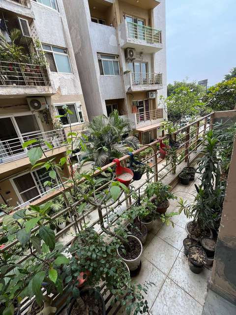 3 BHK Flat In Paras Tierea, Sector 137 For Sale  In Sector 137