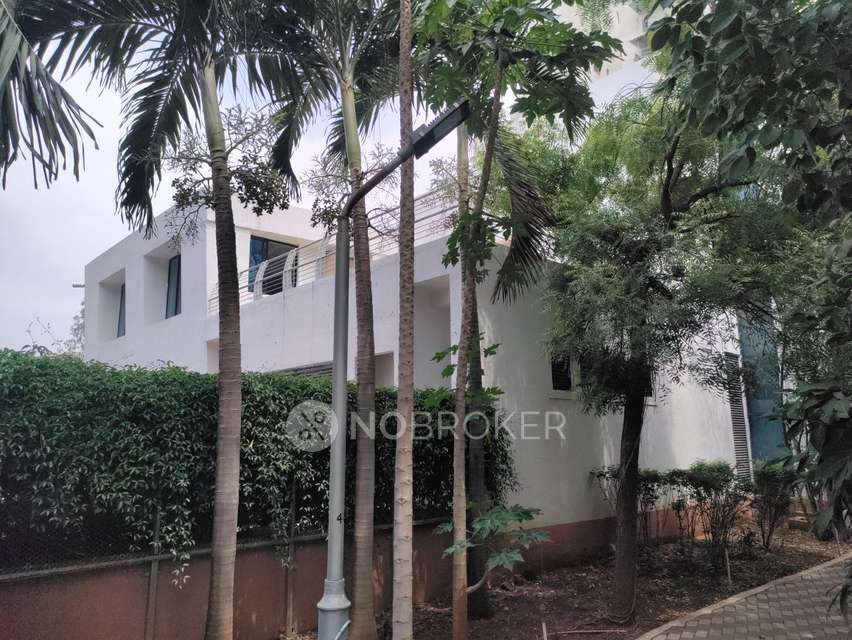3 BHK Flat In Tata Inora Park for Rent  In Handewadi
