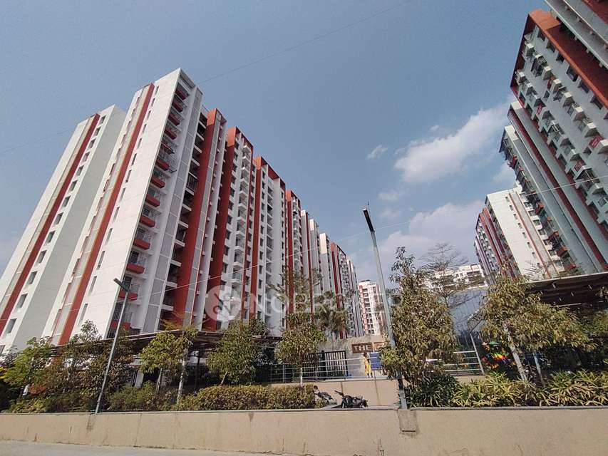 2 BHK Flat In Rythym County  for Rent  In Handewadi