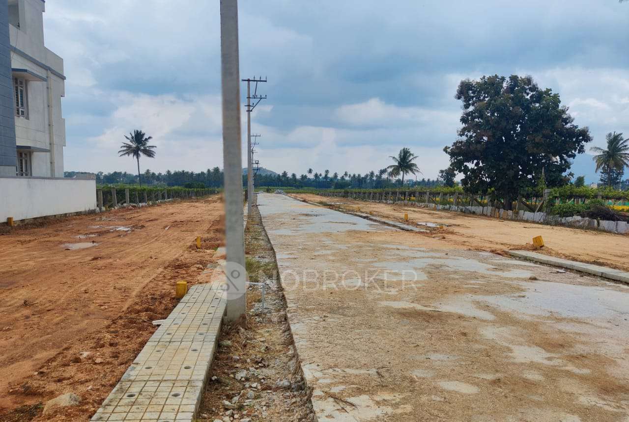 Plot For Sale  In P Bachareddy Layout In Chikballapur