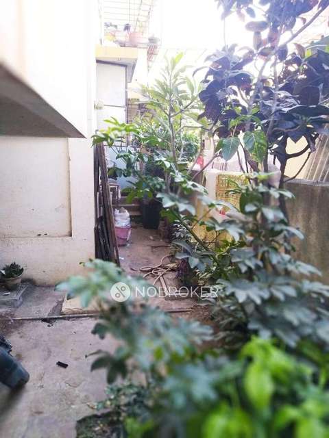 1 BHK Flat In Rani Apartment For Sale  In Dhankawadi