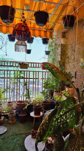 2 BHK Flat In Ravinanda Skylights for Rent  In Wagholi