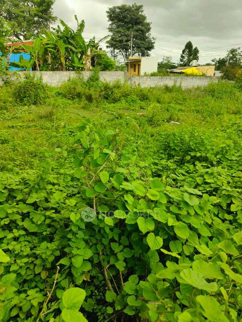 Plot For Sale  In Null