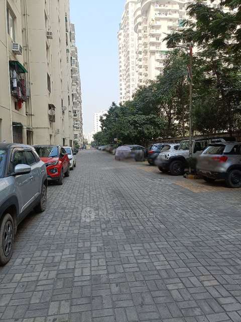 2 BHK Flat In Aditya Urban Casa For Sale  In Noida 