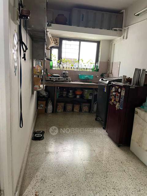 1 BHK Flat In Goel Ganga Terrace, Koregaon Park Annexe for Rent  In Ganga Terrace