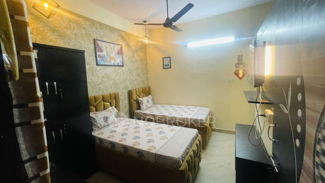 PG for Anyone in  Sector 62