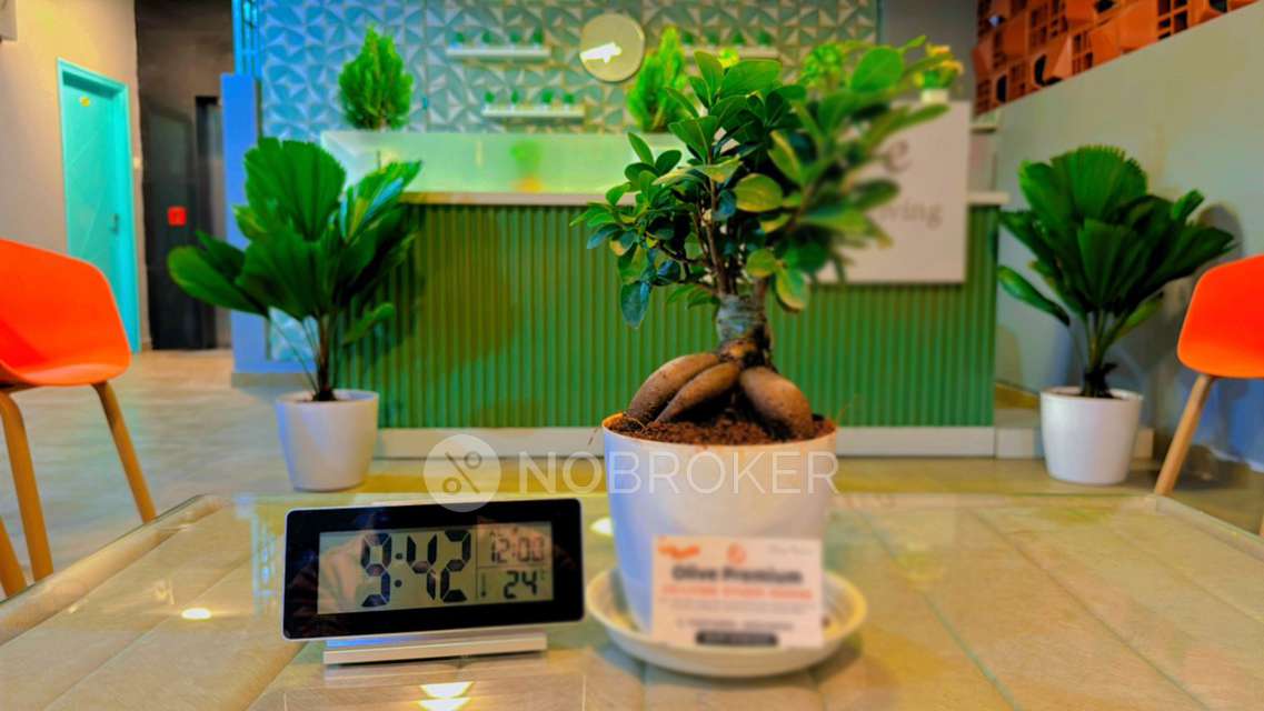 PG for Anyone in Doddakannelli